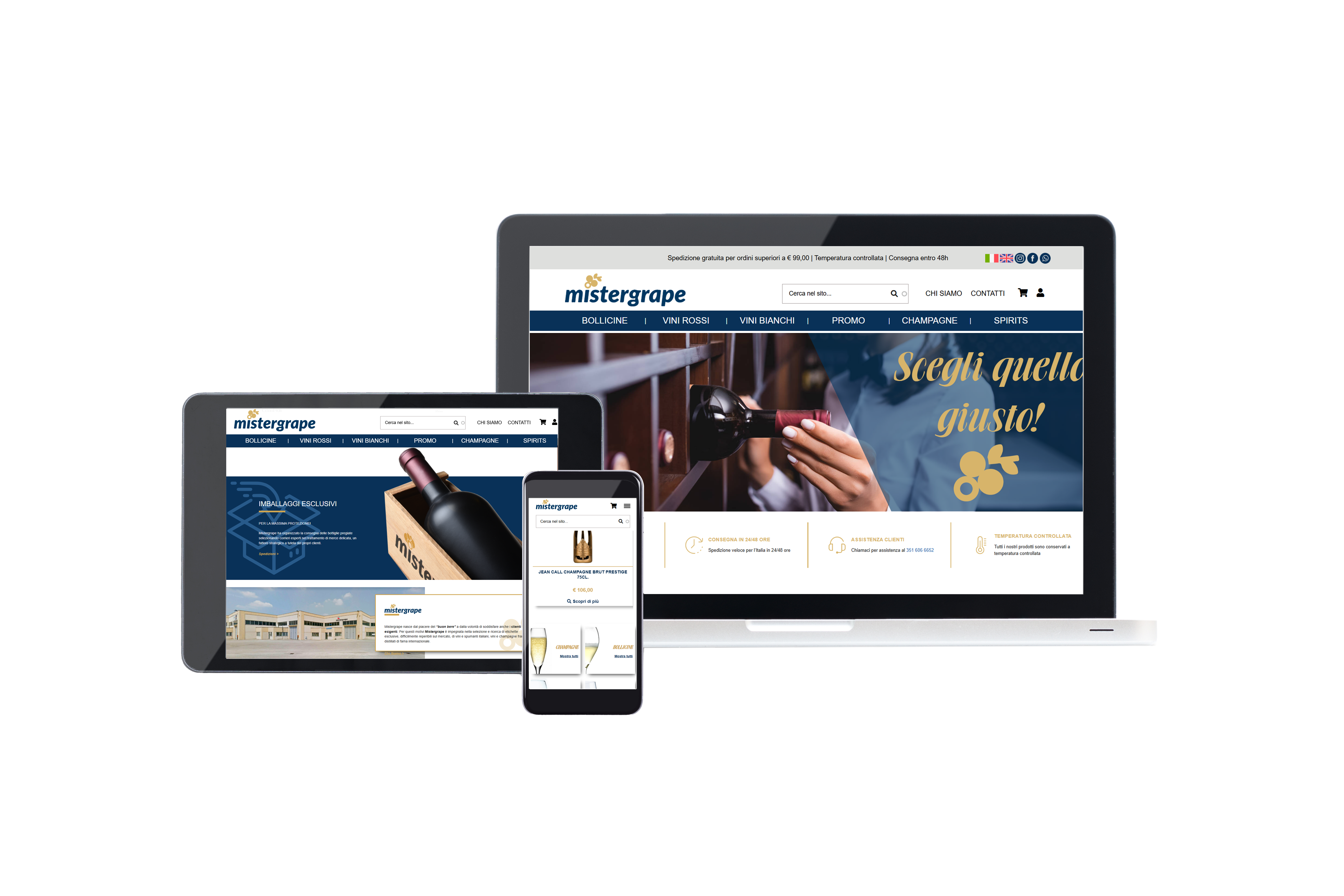 Mistergrape E-commerce